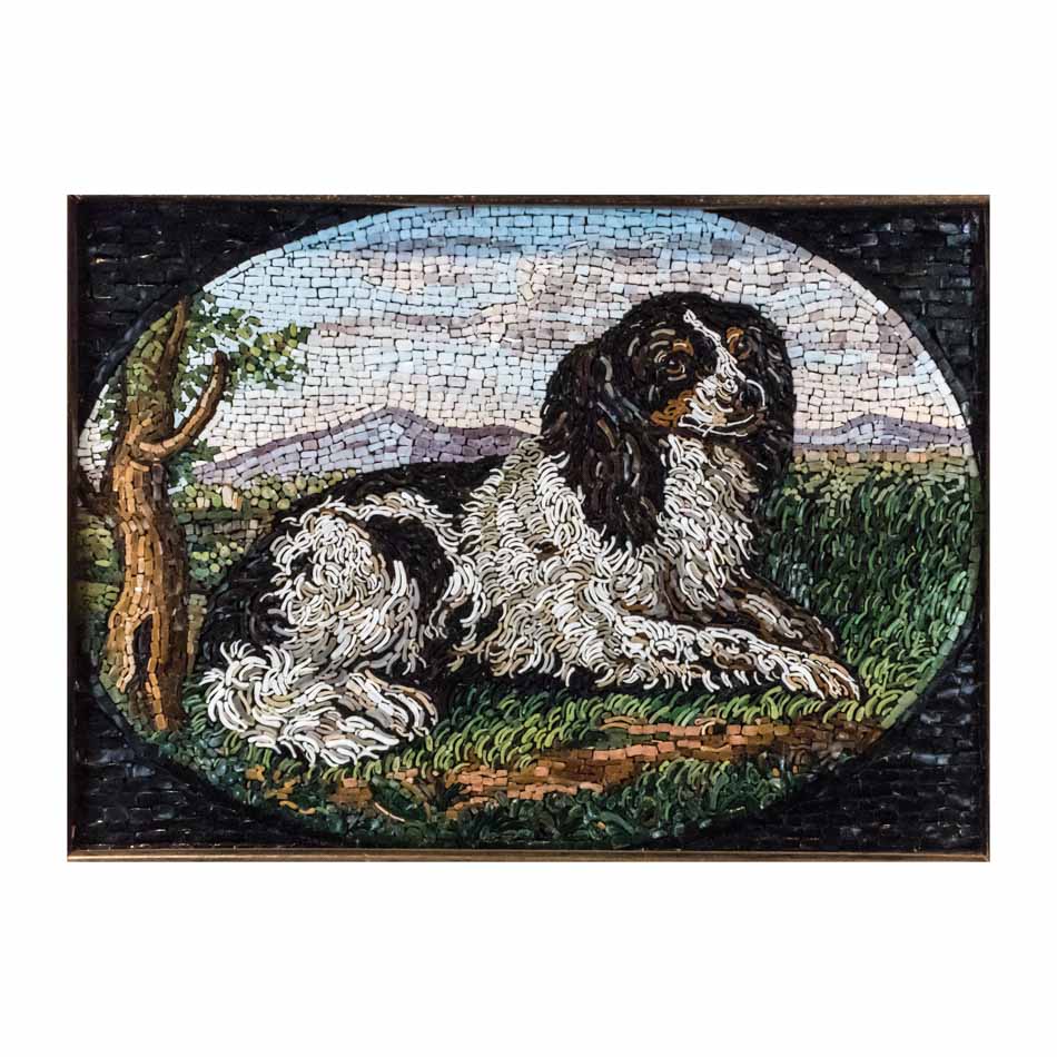 Mosaico Springer Spaniel Inglés 