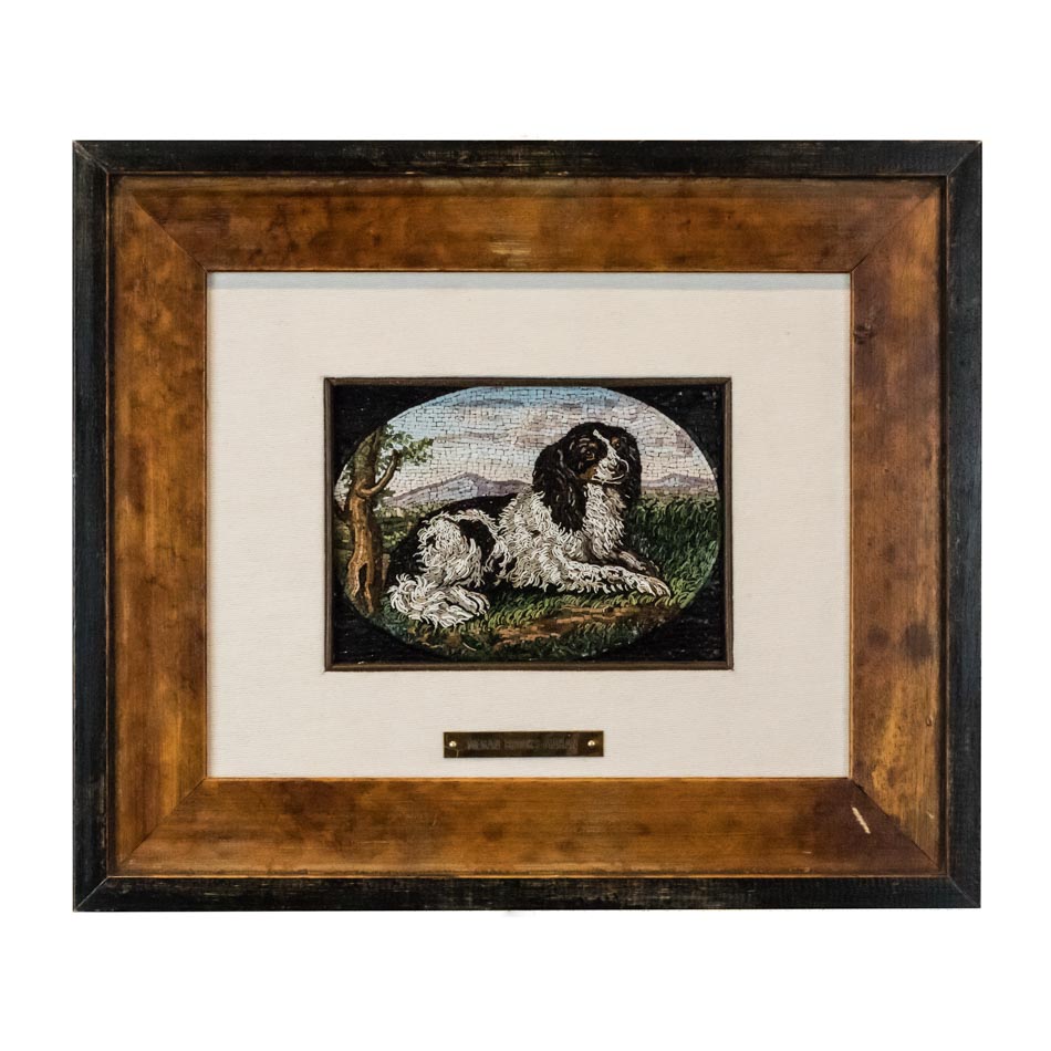 Mosaico Springer Spaniel Inglés 