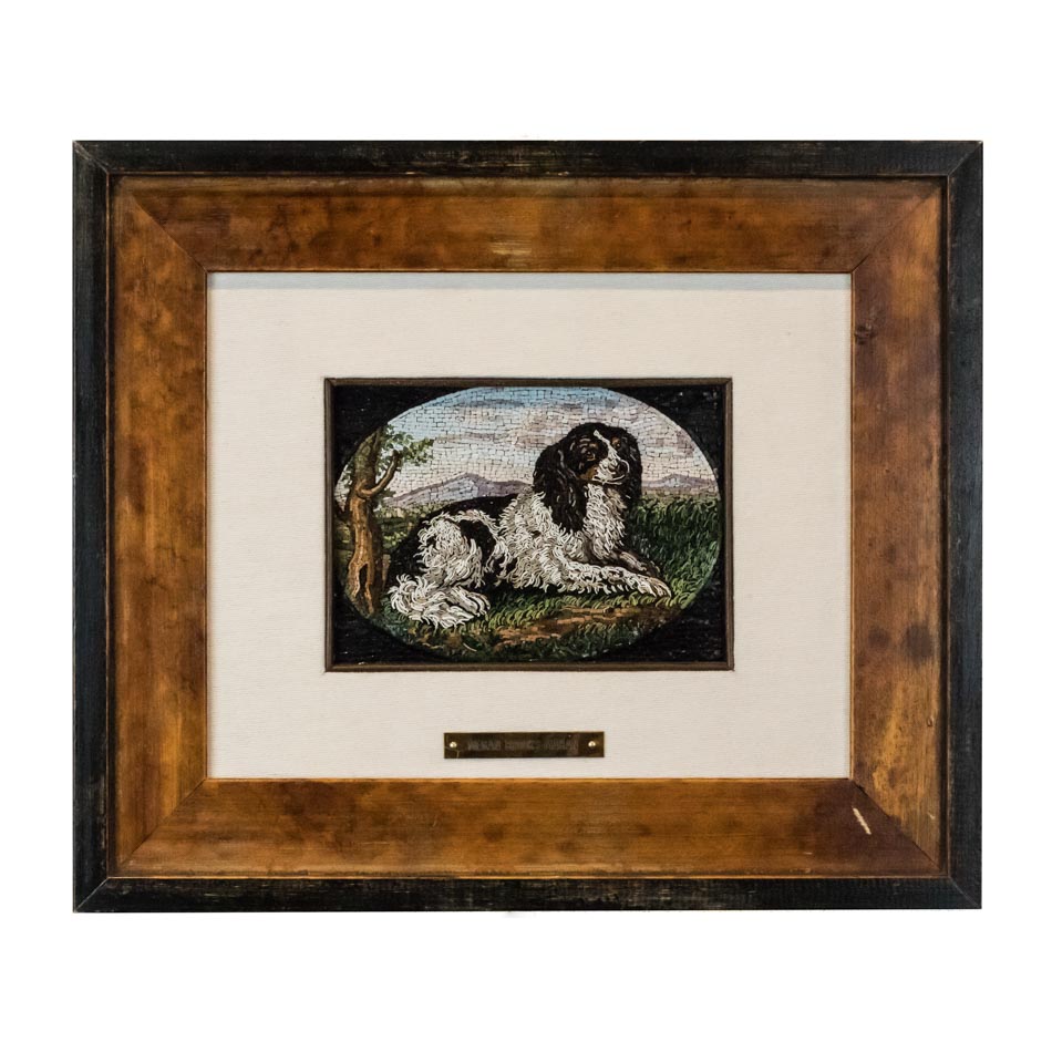 Mosaico Springer Spaniel